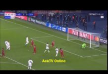 PSG vs Liverpool 2-1 – James Milner’s Goal (28/11/18)