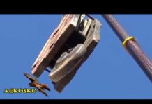 ΧΤΙ-ΖΩ ΓΗΠ-ΕΔΩ – 12/12/18