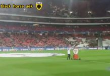 Το πέταγμα κ η προσγείωση του αετού της Μπενφίκα στον ουρανό του ΝΤΑ ΛΟΥΖ!!!!