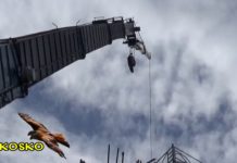 ΧΤΙ-ΖΩ ΓΗΠ-ΕΔΩ – 15/12/18