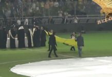* ΚΑΛΩΣ ΗΡΘΕΣ ΝΑΕ *