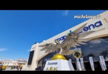 ΑΕΚΑΡΑ ΓΕΡΑ ΠΡΩΤΑΘΛΗΜΑ ΞΑΝΑ ΠΡΩΤΟΙ ΩΣ ΤΟ ΤΕΛΟΣ! #aekfc#agiasofia #aek#football#enwsi#sergioaraujo11