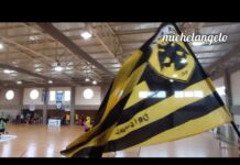 ΑΕΚ HANDBALL ΓΙΑ ΠΑΝΤΑ ΜΙΑ ΖΩΗ ΣΤΑ ΔΥΣΚΟΛΑ ΤΑ ΧΡΟΝΙΑ ΜΑΣ ΚΡΑΤΗΣΕΣ ΕΣΥ!#aek#aekhandball#aekfamily