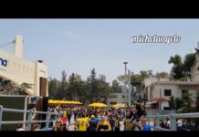 ΚΛΙΜΑ ΑΠΟ ΤΗ ΠΡΩΤΑΘΛΗΜΑΤΙΚΗ ΑΓΙΑ ΣΟΦΙΑ! aekfc#agiasofia#aekfamily#aek#original21#monoaek#slgr