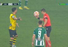 ΑΕΚ – Παναθηναϊκός: Το γκολ του Πινέδα | AEK F.C.