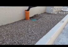 ΓΕΜΙΣΜΑ ΣΤΑ ΠΑΡΤΕΡΙΑ ΓΙΑ ΝΑ ΦΥΤΕΥΤΟΥΝ ΚΑΙ ΠΕΤΡΑ ΣΤΟΥΣ ΑΝΑΒΑΘΜΟΥΣ! aekfc#agiasofia#aek#enwsi#aek