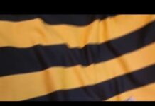 ΒΡΑΔΙΝΕΣ ΕΝΩΣΙΤΙΚΕΣ ΣΥΖΗΤΗΣΕΙΣ!!! aekfc#agiasofia#aekfamily#aeklivemichelangelo #aek#football#enwsi