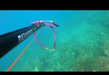Spearfishing in Lakonia