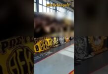 ΚΙΤΡΙΝΗ ΘΕΑ ΚΑΙ ΠΟΤΕ ΜΟΝΗ!!! ΚΑΙ ΣΤΗ ΝΑΟΥΣΑ Ο ΚΟΣΜΟΣ ΤΗΣ ΕΚΕΙ!!! #aek #aekhandball #aekfamily