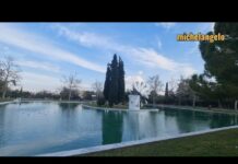 ΑΛΣΟΣ ΝΕΑΣ ΦΙΛΑΔΕΛΦΕΙΑΣ: ΠΗΓΗ ΖΩΗΣ ΚΑΙ ΑΝΑΨΥΧΗΣ ΔΙΠΛΑ ΣΤΗΝ ΑΓΙΑ ΣΟΦΙΑ #ΝέαΦιλαδέλφεια #ΝέαΧαλκηδόνα
