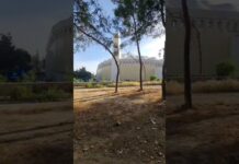 LIVE ΑΕΚ-ΠΑΟ ΑΛΣΟΣ