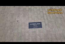 ΝΕΑ ΤΑΜΠΕΛΑΚΙΑ ΠΑΛΙΩΝ ΠΑΙΧΤΩΝ ΣΤΟ ΒΟΡΕΙΟ ΜΕΡΟΣ. ΕΤΟΙΜΑΣΙΕΣ ΑΠΟ ΤΗΝ ΟΥΕΦΑ #aekfc #agiasofia #enwsi