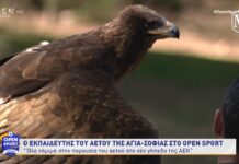 Σ. Αθανασίου: “Όλα νόμιμα στην παρουσία του αετού της ΑΕΚ στην Αγιά Σοφιά!”