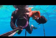 Spearfishing, Lakonia, Greece
